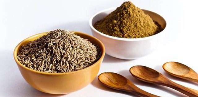 spice manufacturer and traders